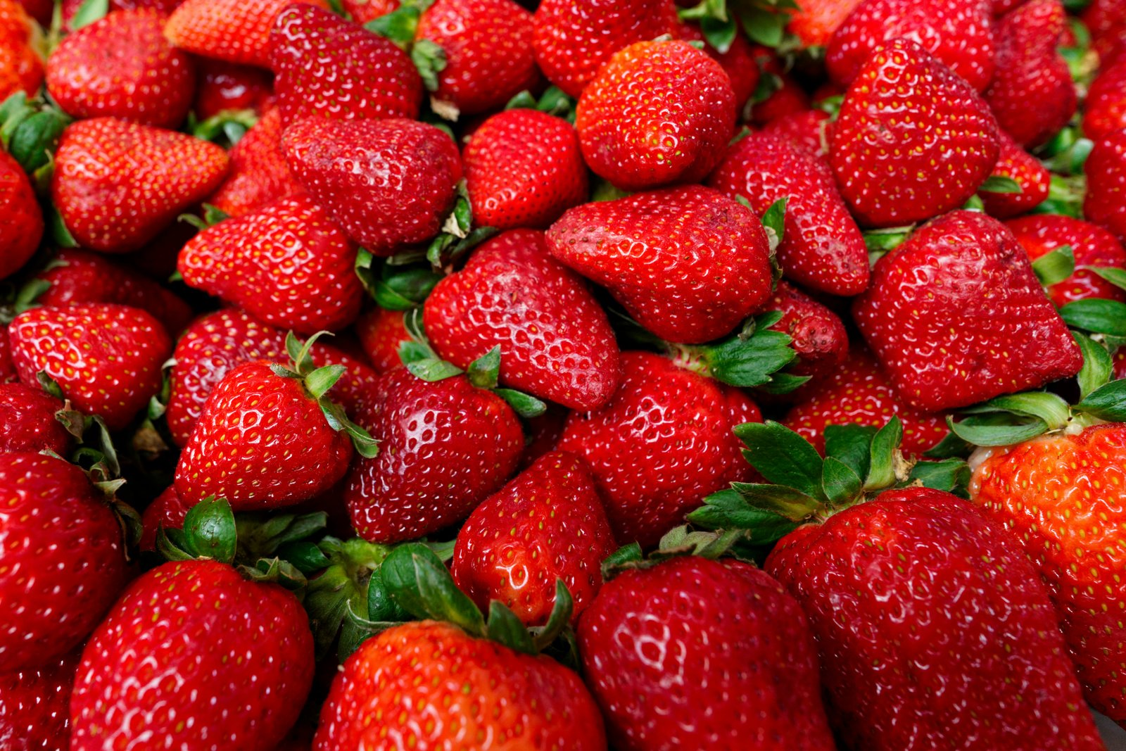 Fruits frais du Potager de Steph