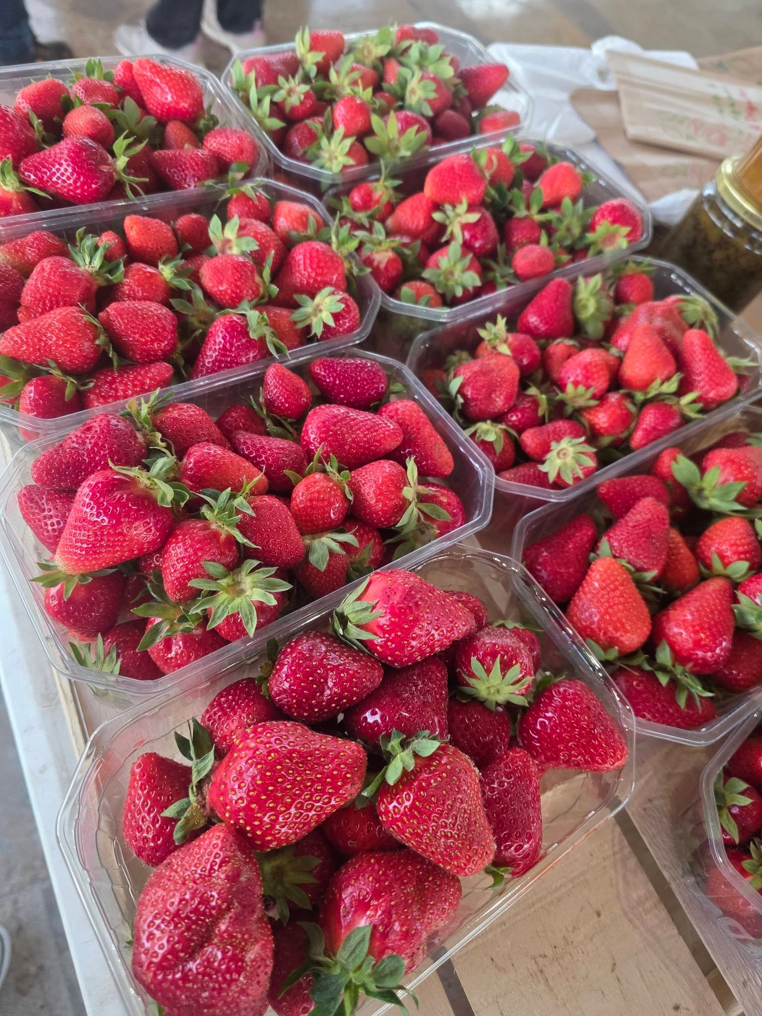 Les fraises de Steph