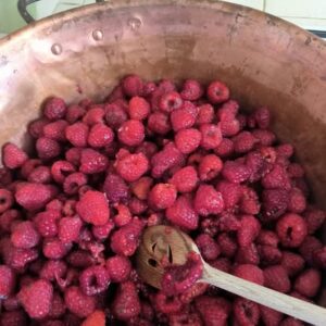 471247131 122143129430348454 9193883018376243224 n