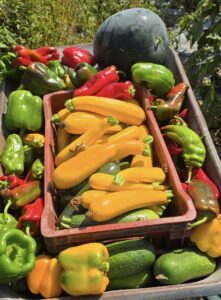 530284228 122174236256348454 797423119412448100 n