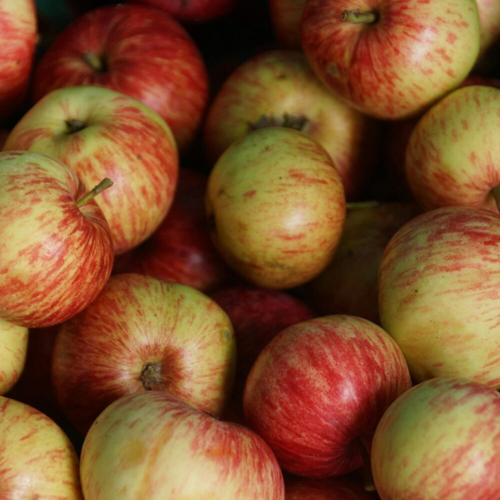 Vibrant and fresh red-yellow apples, perfect for food photography and healthy eating concepts.
